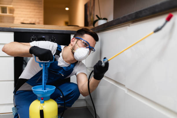Best Rat Extermination Near Me  in Upland, IN