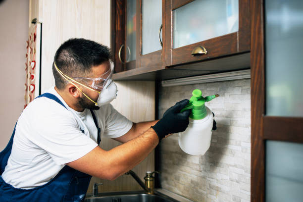 Best Pest Inspection Near Me  in Upland, IN