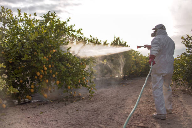 Best Local Pest Control Services  in Upland, IN