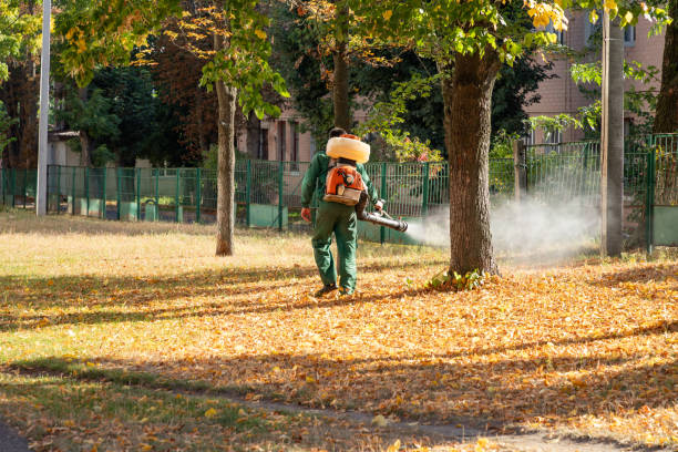 Best Affordable Pest Control Services  in Upland, IN