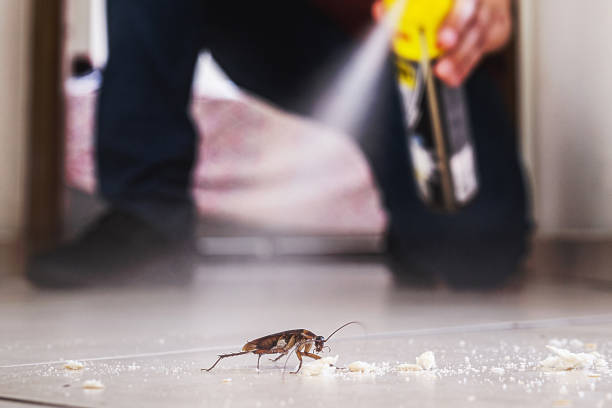 Insect Control in Upland, IN