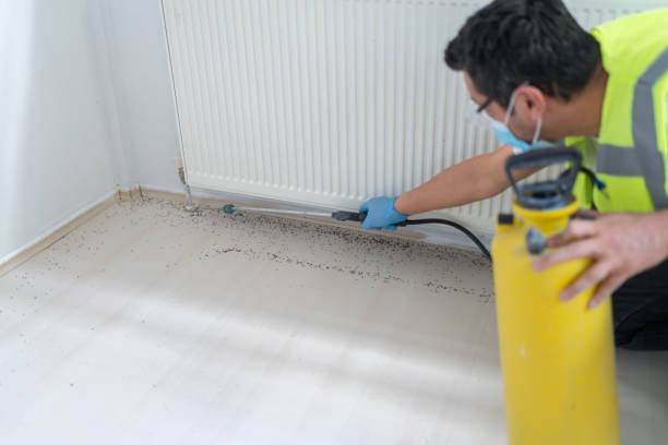 Best Flea Control Services  in Upland, IN